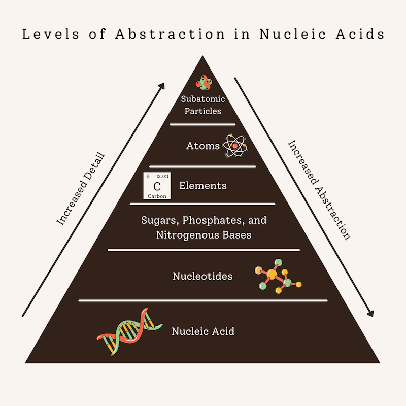 Photo of Pyramid Depicting Abstraction in Genetics